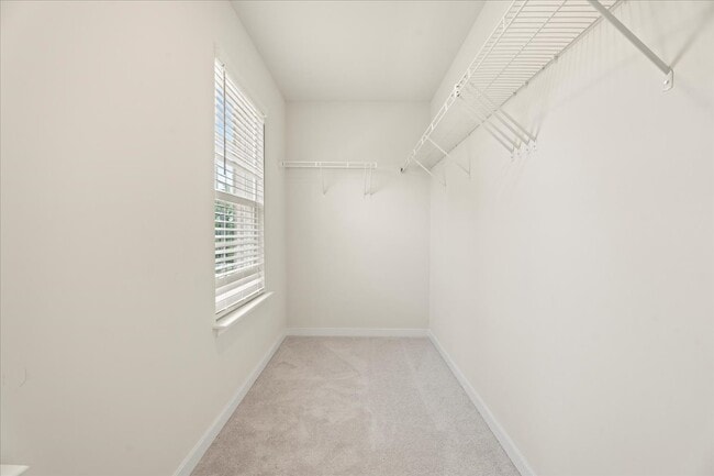Building Photo - 11318 Ellingshire Ct