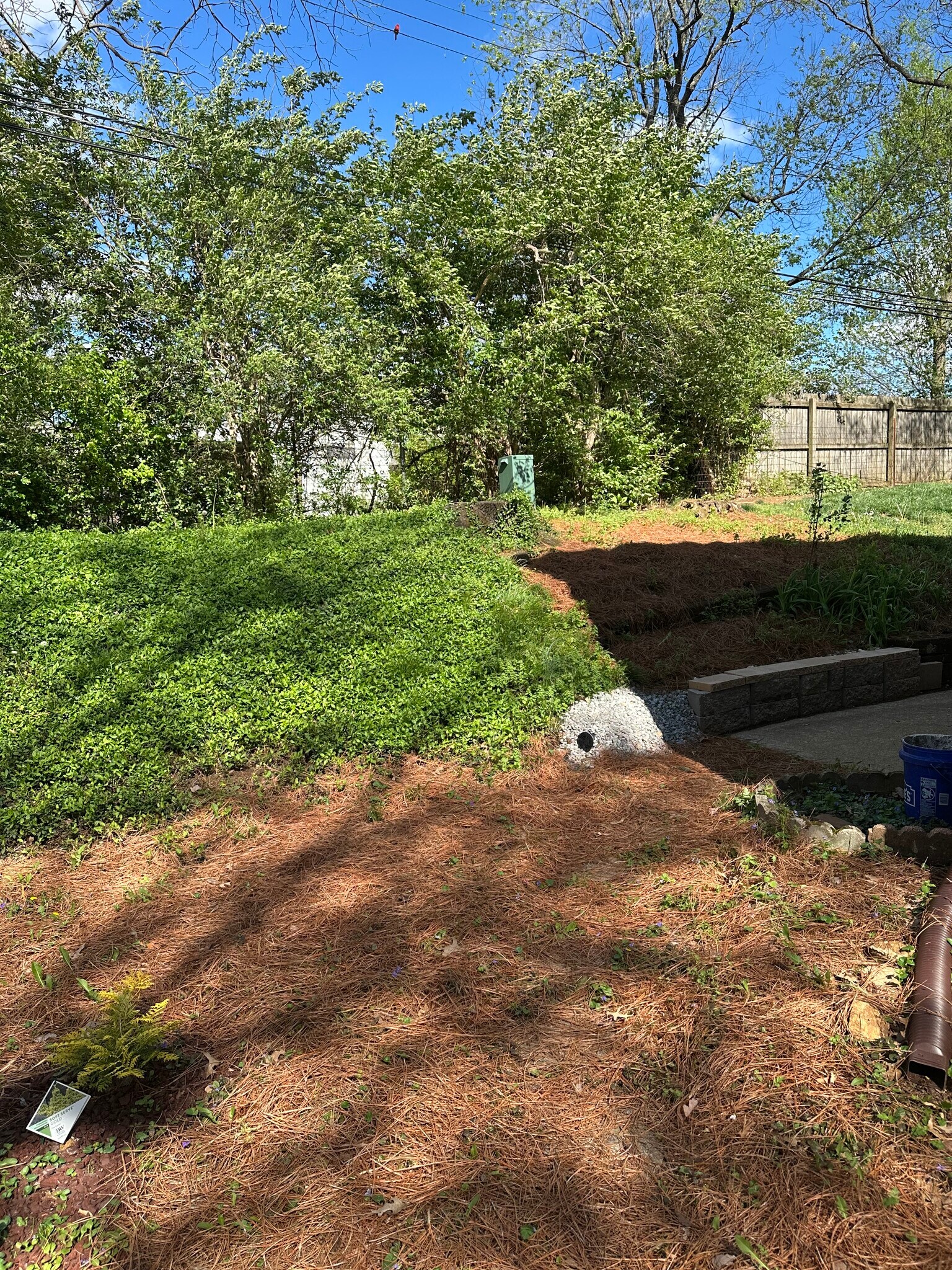 Building Photo - 763 Spring Meadows Dr