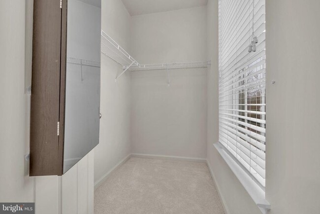 Building Photo - 8222 Morris Pl