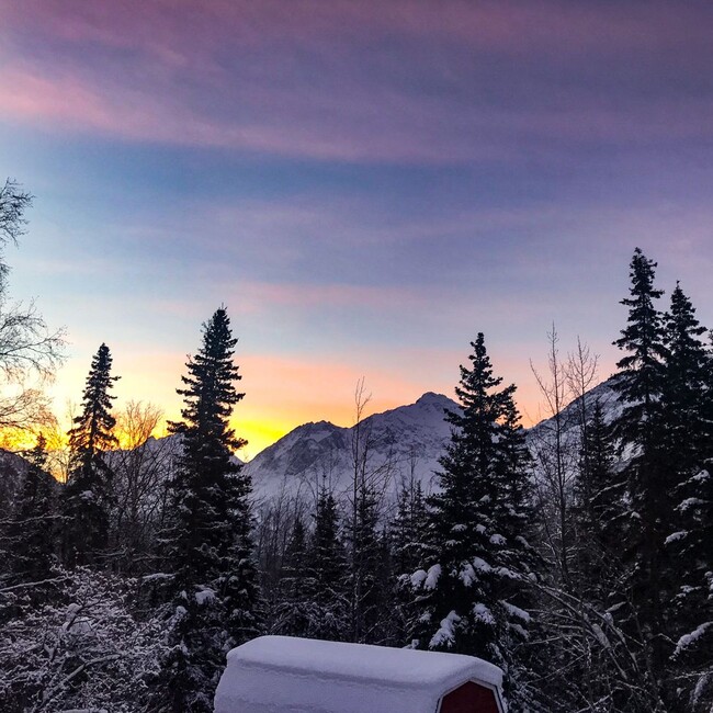 Building Photo - Nestled in beautiful Alaskan Wilderness