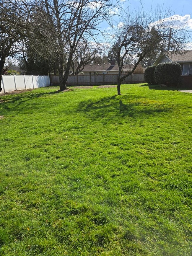 Building Photo - 110- ( P )