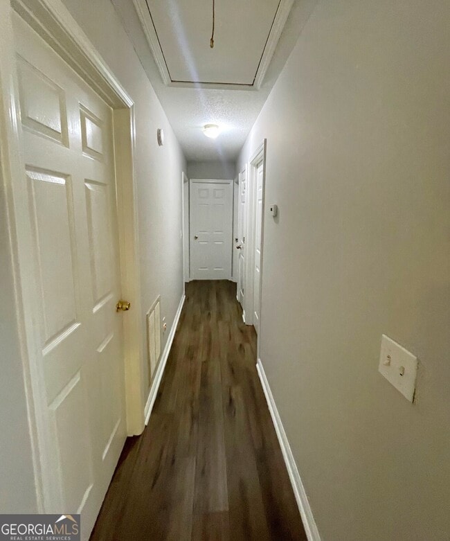 Building Photo - 119 Magnolia St