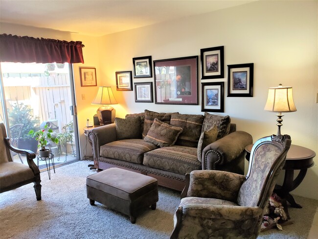 Spacious Living Room - Arlington Apartments