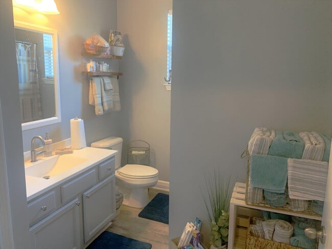 Building Photo - 319 Scotch Pine Ln