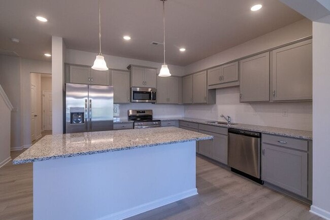 Building Photo - Beautiful Brand New 3 Bedroom 2.5 Bath Townhome in Hickory Glen!