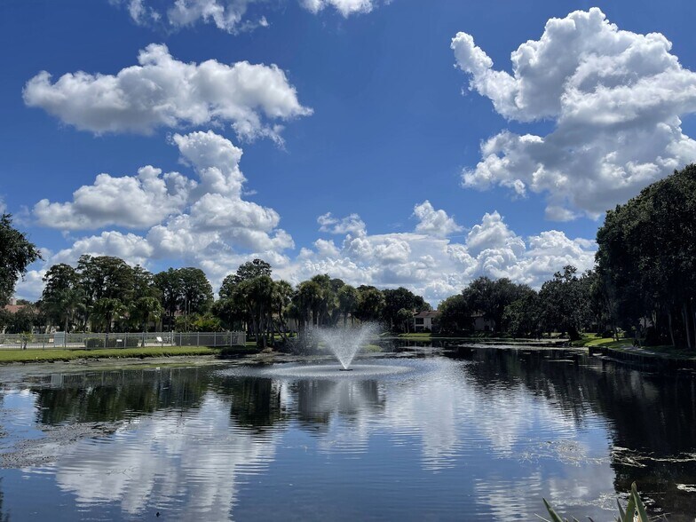 Water Fountain - 10356 Carrollwood Ln