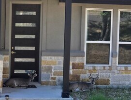 Building Photo - 18605 Masters Cv