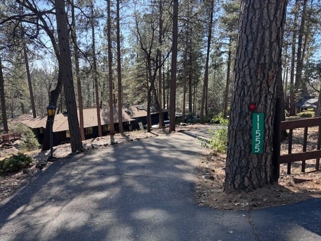 Building Photo - Beautiful Fully Furnished Studio Apartment with Long Range Views