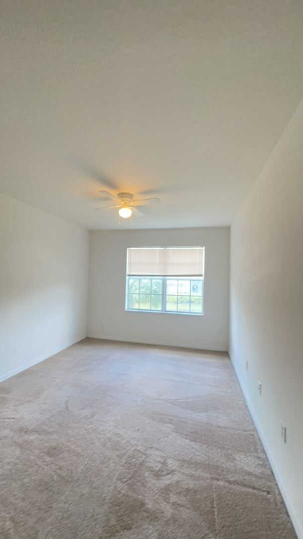 Building Photo - Palm Estates