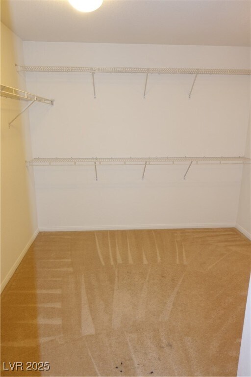 Building Photo - 3659 Bufflehead St