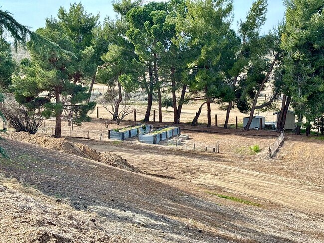 Building Photo - 4-BEDROOM 3-Bathroom FURNISHED Peaceful Country Living