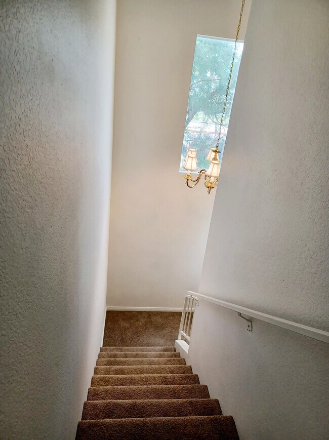 Building Photo - 127 Tiger Ln