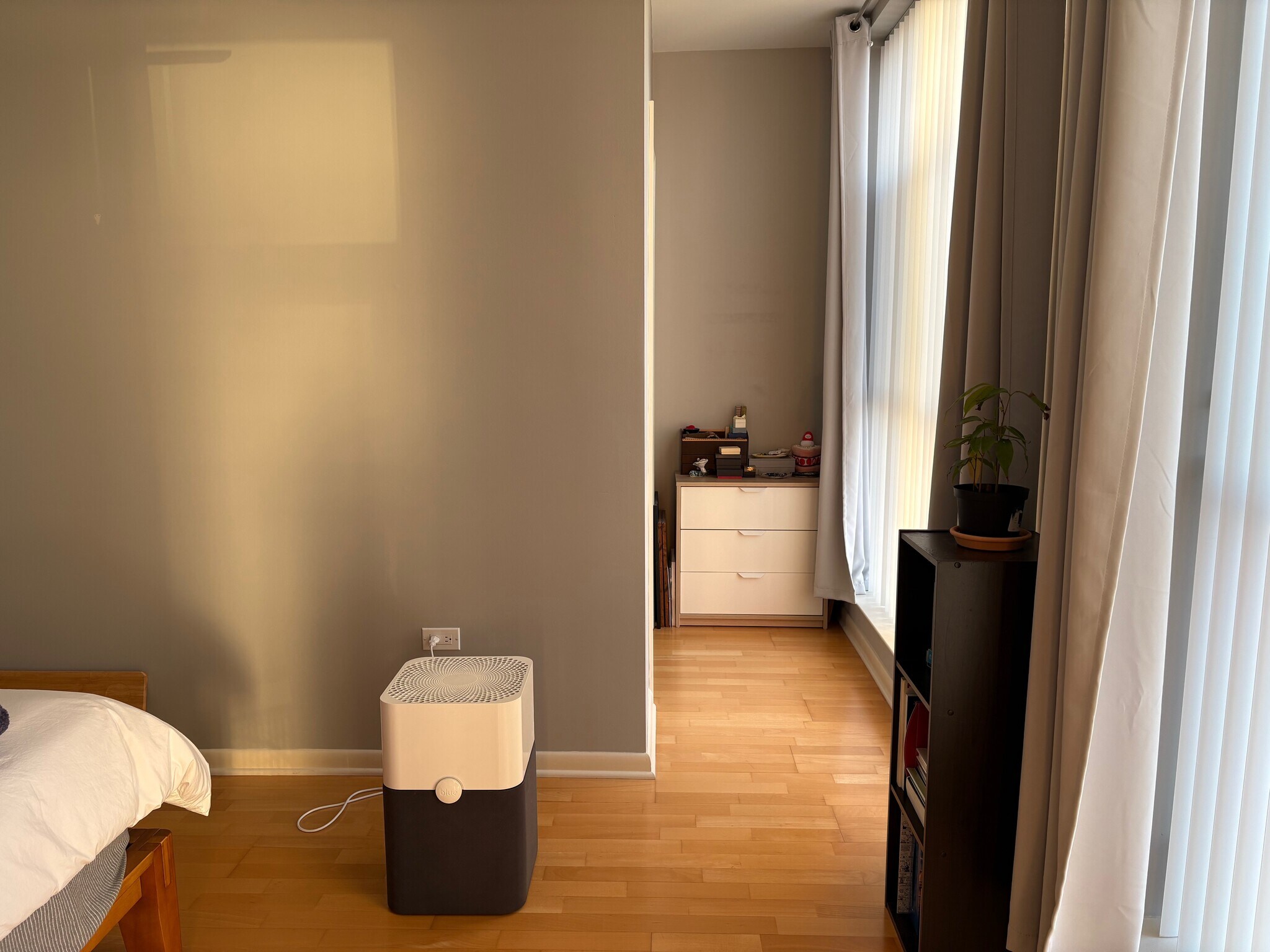 Main Bedroom - 1572 Maple Ave