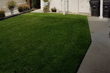 Building Photo - 1014 Newport Ave