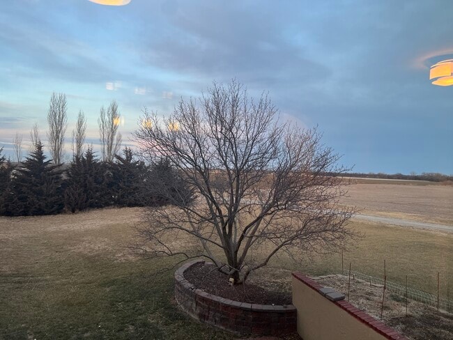 Building Photo - 405 Trenton St