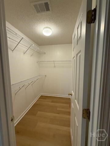 Building Photo - 82 Yellow Jasmine Ct