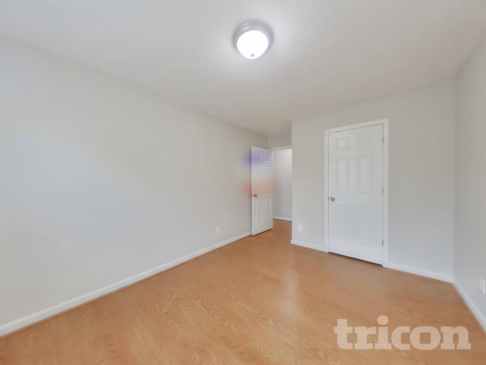 Building Photo - 712 Paige Ct