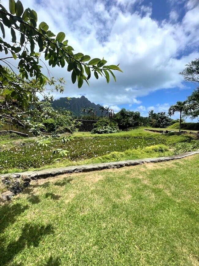 Building Photo - Gorgeous 2 Bedroom / 1 Bath in Waikane