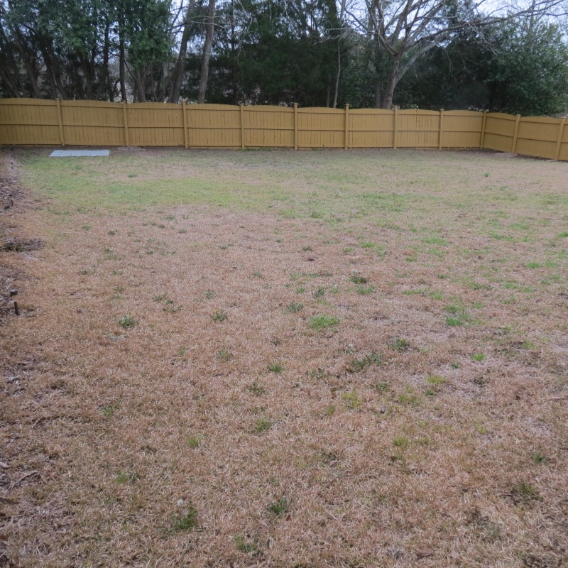 Building Photo - 215 Peach Hill Dr