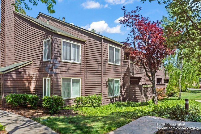 Primary Photo - 866 Catkin Ct