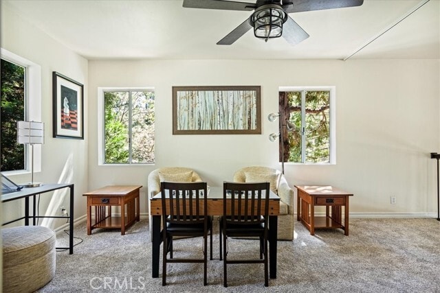 Building Photo - 28670 Shenandoah Dr