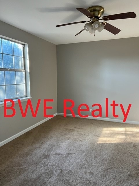 Building Photo - Charming 1 Bedroom Franklin Condo