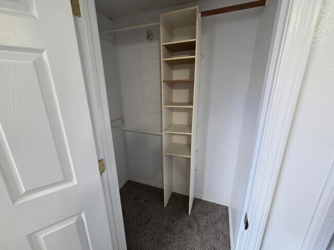 BR1 CLOSET - 258 Knolls Vista Dr