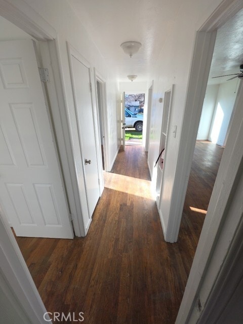 Building Photo - 3406 Lakeshore Blvd