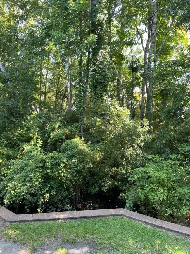 Building Photo - 157 Egret Run Ln