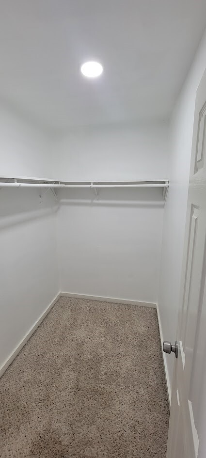 Building Photo - 3116 Bolt St