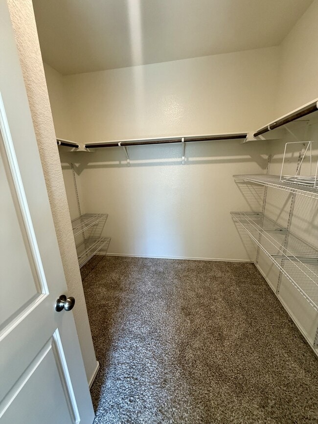 Building Photo - 3908 Ignacio Dr