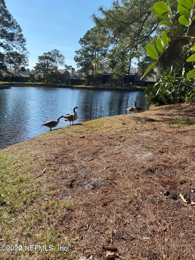 Building Photo - 109 Cranes Lake Dr