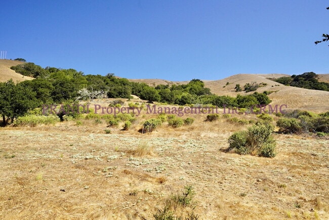 Building Photo - Remodeled San Marin Home with Recent Upgra...