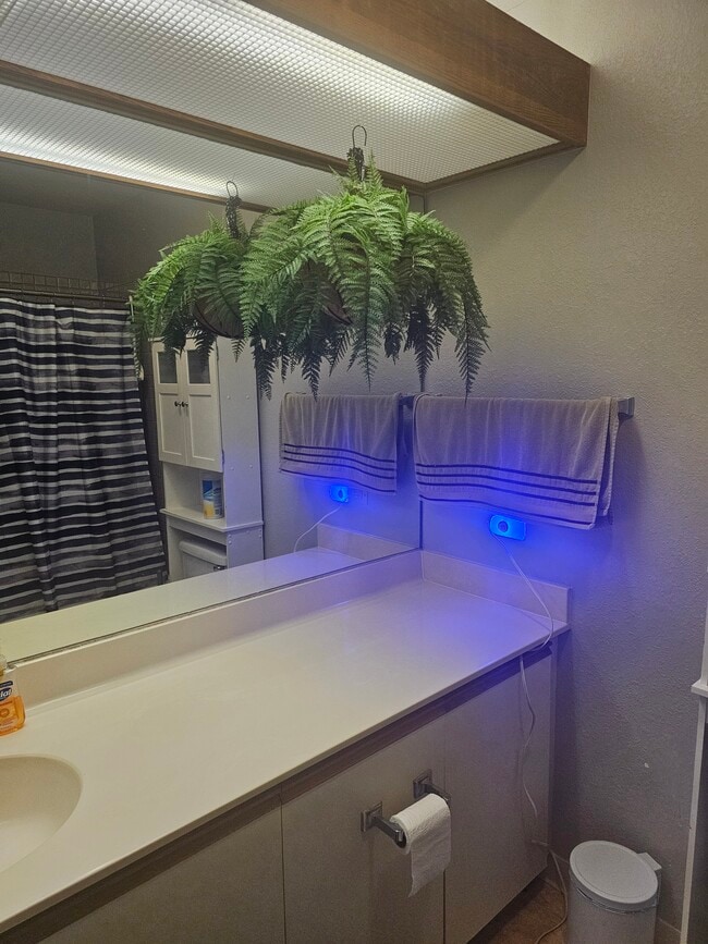 Building Photo - 46-051 Konohiki St