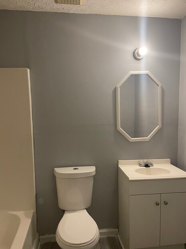 Hall bathroom - 2618 Wren Cir