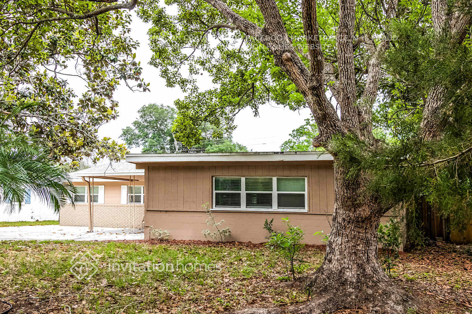 Building Photo - 1546 Peruvian Ln