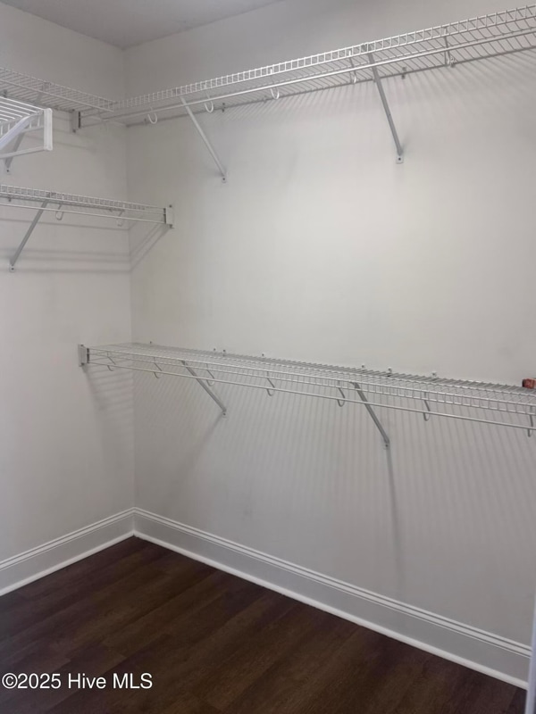 Building Photo - 367 Branchwood Dr