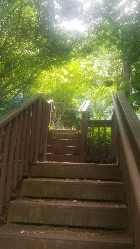 Building Photo - 718 Cliff St