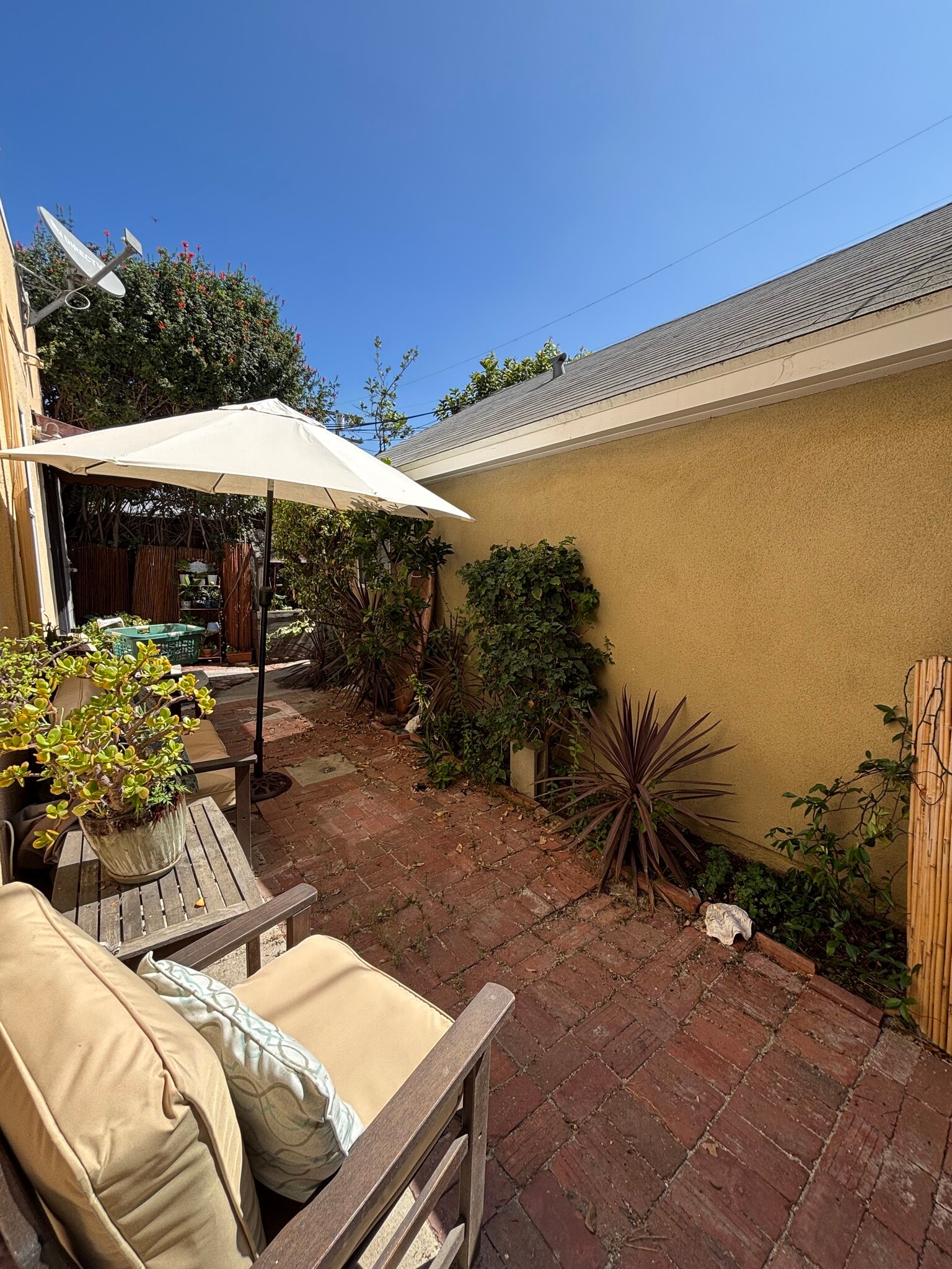 Large back patio + garden - 912 1/2 California Ave