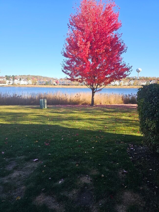 Primary Photo - 1530 Glacier Trail