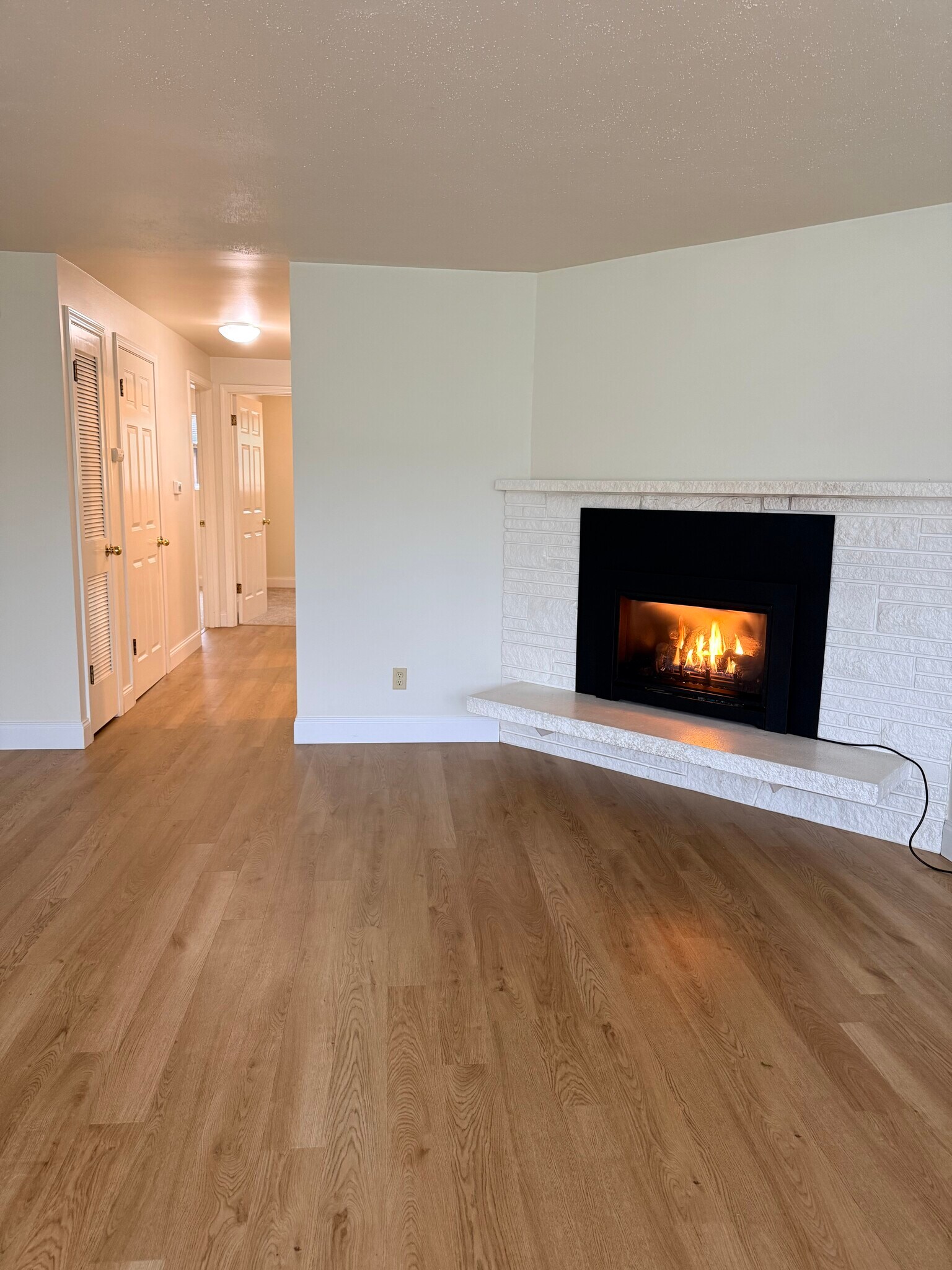 Gas fireplace - 10734 35th Ave NE