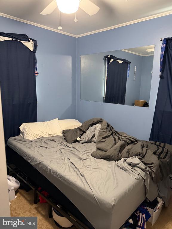 Building Photo - 1062 Terrace Blvd