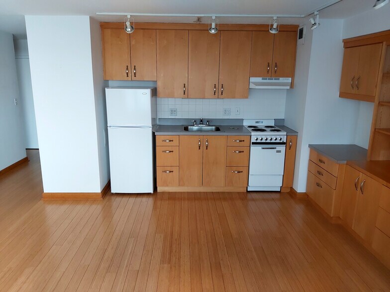 Living room - 3100 N Lake Shore Dr