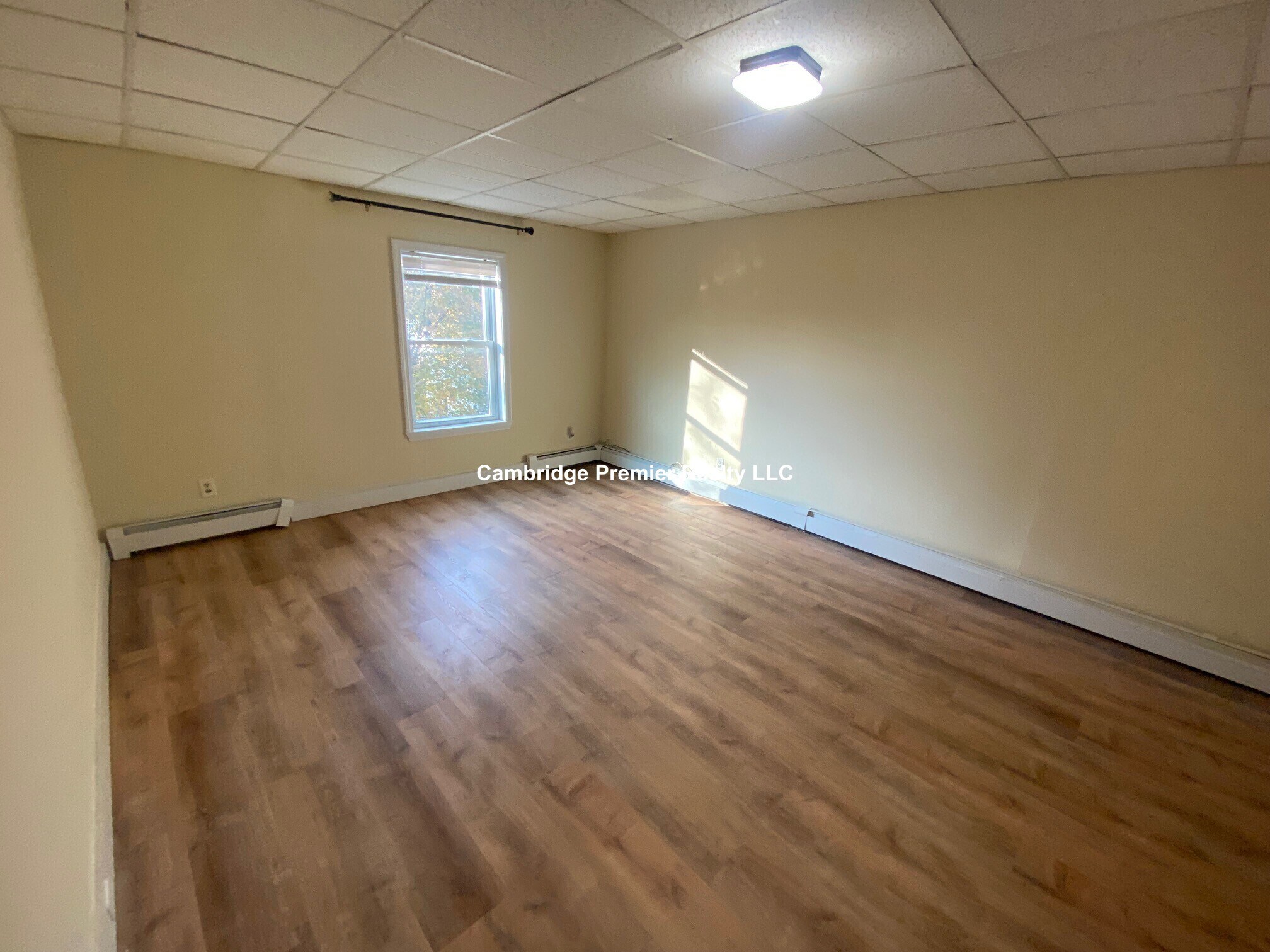 Building Photo - 46 Almont St