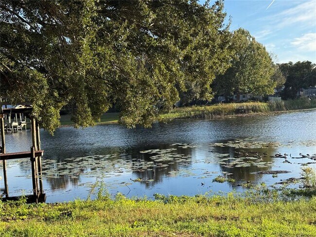 Building Photo - 13513 Shady Shores Dr