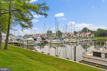 Building Photo - 312 Blenny Ln