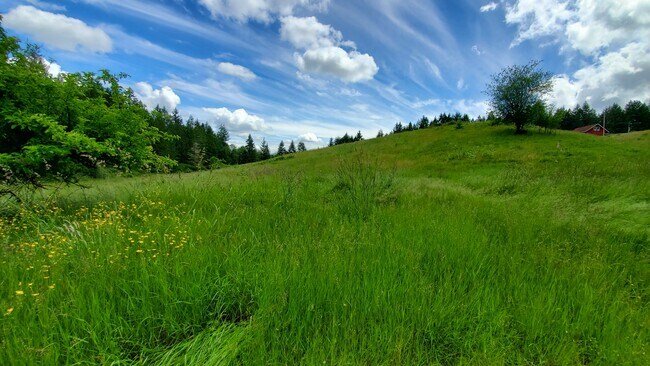 Building Photo - 11839 Glenwood Rd