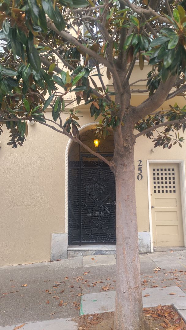 Primary Photo - Full of Natural Light & Character Apt in N...