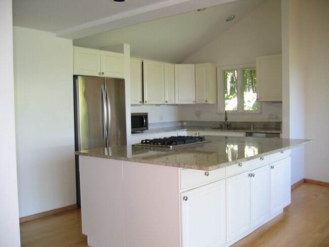 MODERN KITCHEN - 230 Diviso St