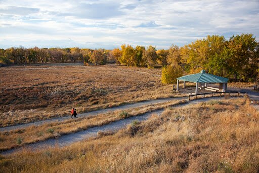 Building Photo - 2517 Kingston St